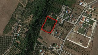 Terreno de 5500 m² em Santarém