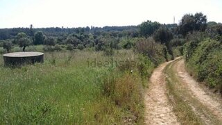 Land for sale in Torres Novas, Portugal — €40,000