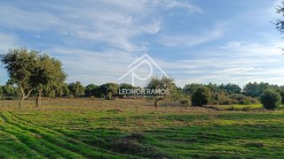 Terreno de 21 000 m² em Castelo Branco