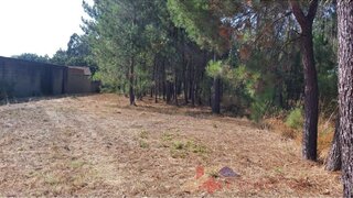 Land for sale in Pombal, Portugal — €64,000