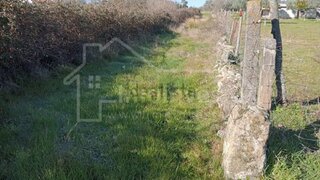 Terreno de 3000 m² em Castelo Branco