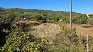 Terreno em Oleiros