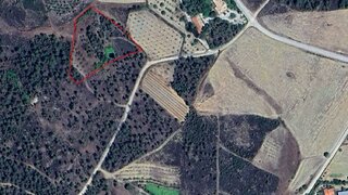 Terreno de 5378 m² em Castelo Branco