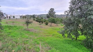 Terreno de 2600 m² em Castelo Branco