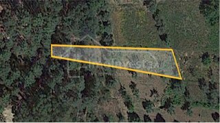 Terreno de 1000 m² em Castelo Branco