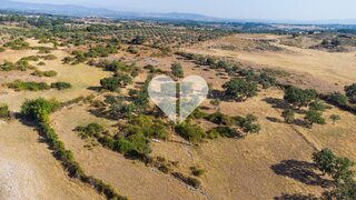 Land for sale in Idanha-a-Nova, Portugal — €25,000