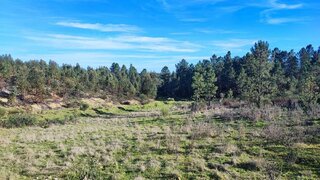 Terreno para venda em Castelo Branco, Portugal — 19 500 €