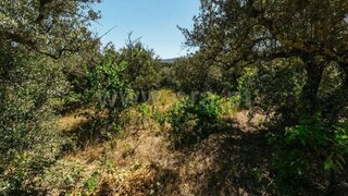 Terreno em Covilhã
