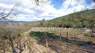 Terreno de 8041 m² em Fundão