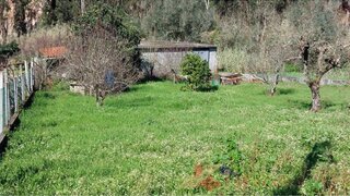 Terreno para venda em Pombal, Portugal — 25 000 €