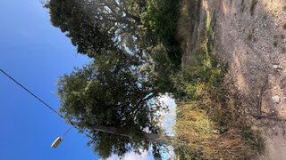 Land for sale in Alcobaça, Portugal — €25,000