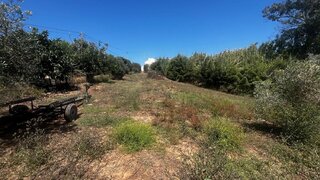 Terreno para venda em Alcobaça, Portugal — 135 000 €