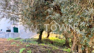 Land for sale in Torres Novas, Portugal — €35,000