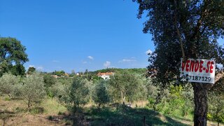 Land for sale in Tomar, Portugal — €50,000