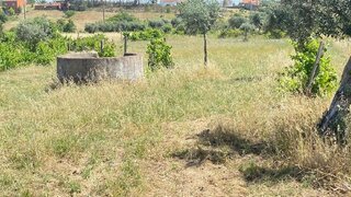 Terreno de 2400 m² em Castelo Branco