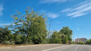 Land for sale in Cartaxo, Portugal — €200,000