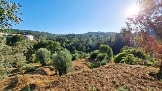 Land for sale in Tomar, Portugal — €66,000