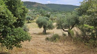 Land for sale in Penamacor, Portugal — €5,500