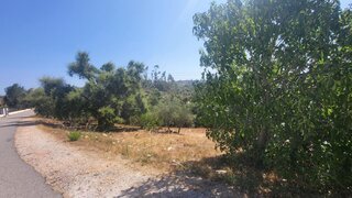 Land for sale in Tomar, Portugal — €1,900