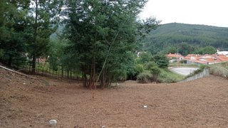 Land for sale in Castanheira de Pêra, Portugal — €40,000