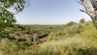 Terreno para venda em Santarém, Portugal — 44 460 €