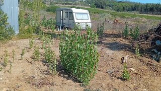 Terreno para venda em Peniche, Portugal — 55 000 €