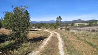 Terreno de 48 200 m² em Castelo Branco