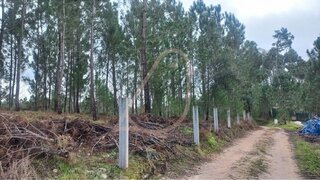 Land for sale in Ansião, Portugal — €45,000