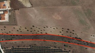 Terreno de 8000 m² em Santarém