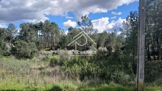 Terreno de 2160 m² em Castelo Branco