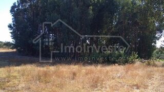Terreno de 5250 m² em Castelo Branco