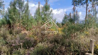 Land for sale in Sertã, Portugal — €9,000