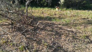 Land for sale in Covilhã, Portugal — €12,000