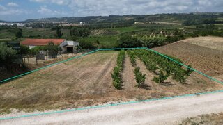 Land for sale in Bombarral, Portugal — €58,000