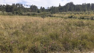 Land for sale in Tomar, Portugal — €26,500