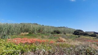 Land for sale in Leiria, Portugal — €169,000