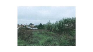 Land for sale in Cartaxo, Portugal — €80,000