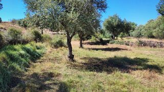 Terreno em Castelo Branco · 600 m² · 8000 €