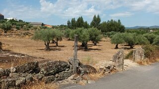 Land for sale in Fundão, Portugal — €50,000