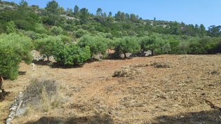 Land for sale in Torres Novas, Portugal — €3,450