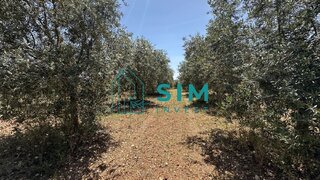 Land for sale in Rio Maior, Portugal — €23,000