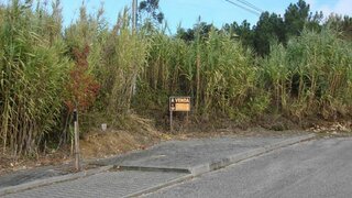 Terreno de 13 990 m² em Leiria