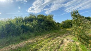 Terreno para venda em Pombal, Portugal — 1750 €