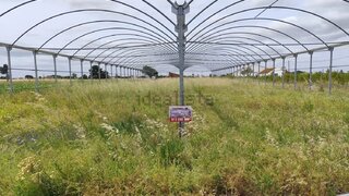 Land for sale in Almeirim, Portugal — €55,000