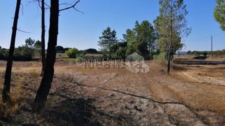 Land for sale in Coruche, Portugal — €66,500