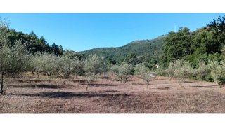 Land for sale in Mação, Portugal — €60,000