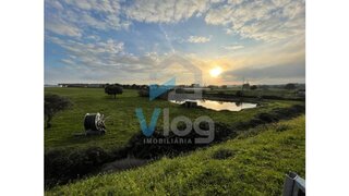 Terreno de 64 m² em Castelo Branco
