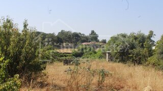 Terreno de 1500 m² em Castelo Branco