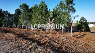 Land for sale in Covilhã, Portugal — €19,500