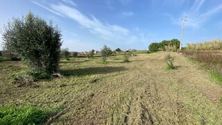 Land for sale in Cartaxo, Portugal — €69,999